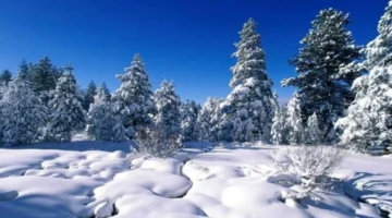 تقلبات حادة.. تحذيرات من حالة الطقس المتوقعة في لبنان خلال شهر شباط 2026